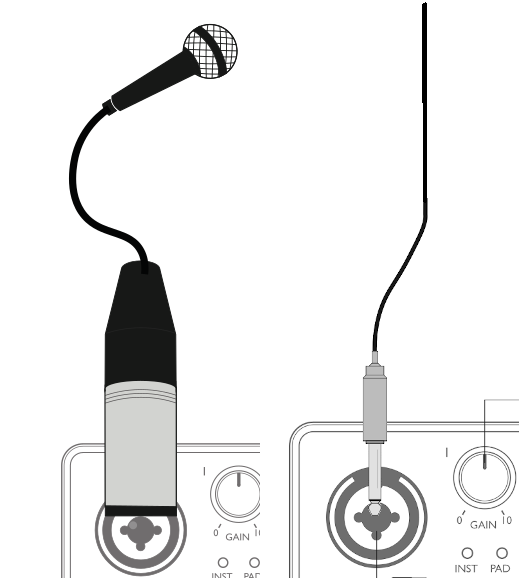 Focusrite XLR and 1/4 inch combo jack