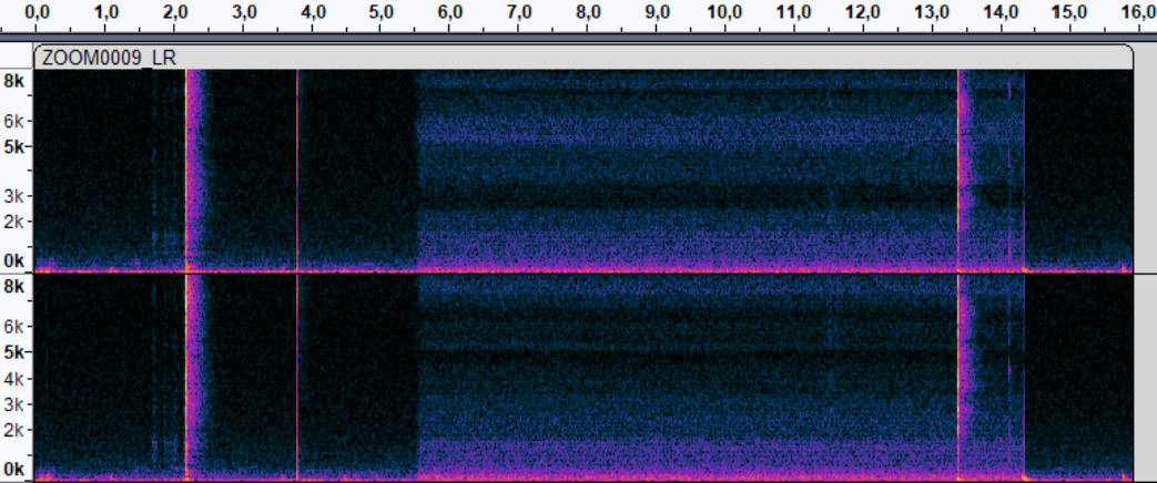 Spectogram of the recorded footage