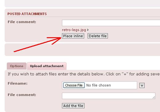place inline screenshot