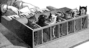 Nord Kittyboard.jpg
