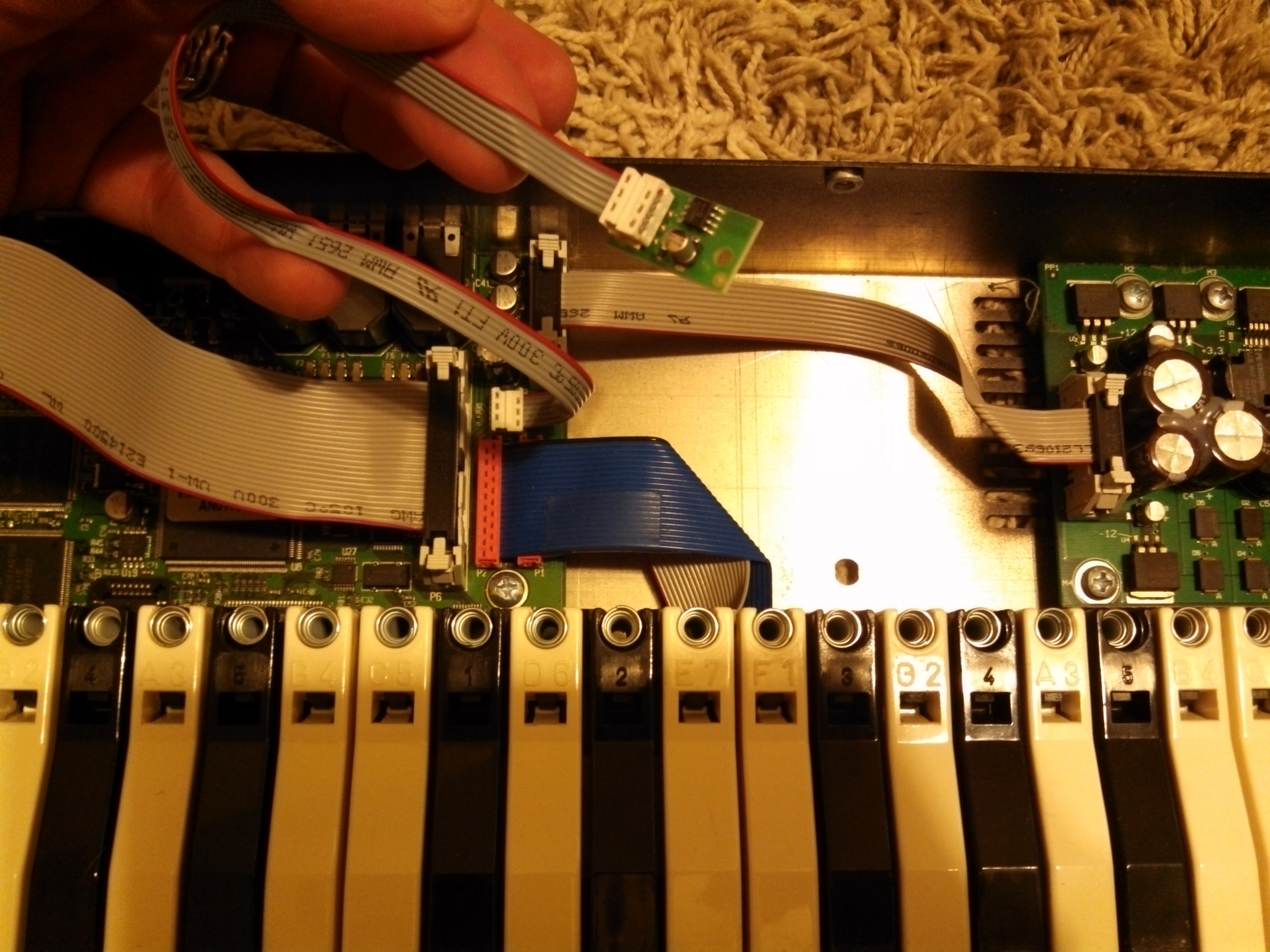 nord electro 3 unattached board.jpg