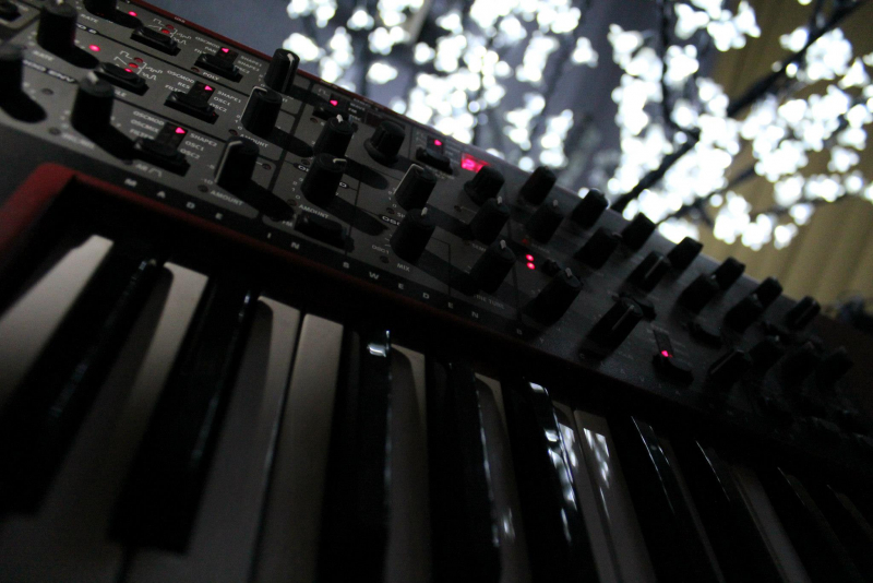 NordWave under the light of the magic tree in the studio