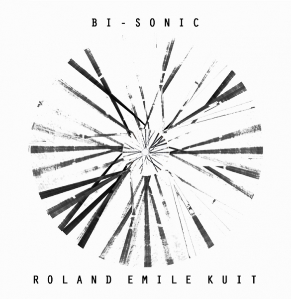 Bi Sonic - Roland Kuit